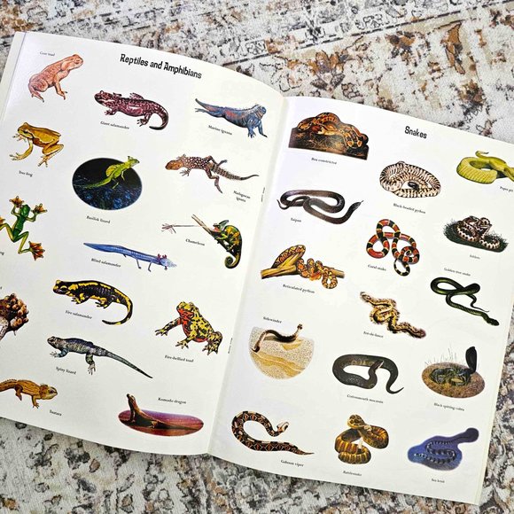 Set of 2 Children's Sticker Books. "Slimy & Scaly" and "Wet & Wild" . Softcover. - Picture 13 of 16